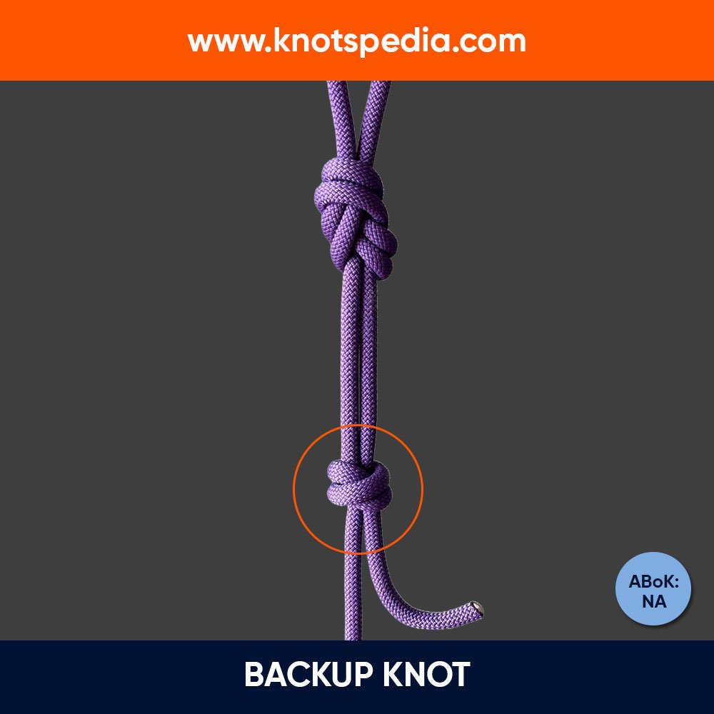 backup-knot