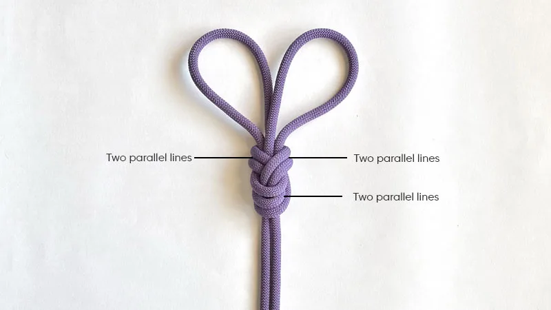 8 Bunny Knot newest Bundle