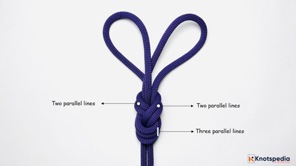 How to Tie the Double Figure 8 Knot (Bunny Ears)