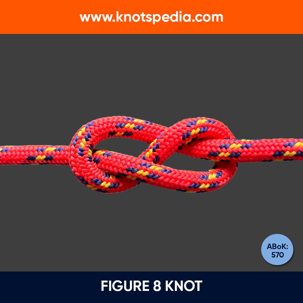 How to Tie the Half Hitch Knot (The Correct Way) | Knotspedia