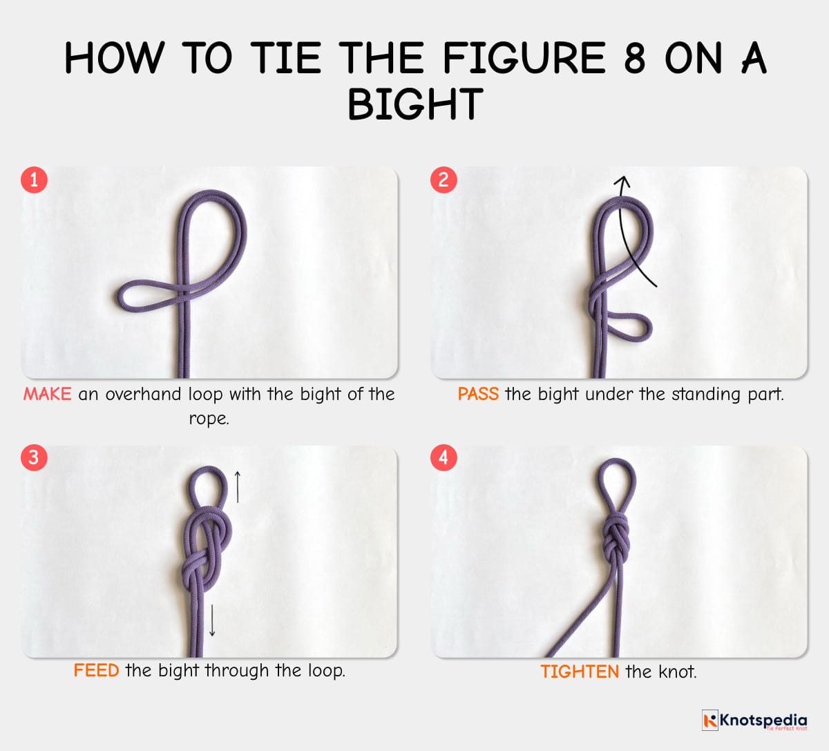 figure-8-on-a-bight-how-to-tie-the-figure-8-on-a-bight-step-by-step-knotspediafigure-8-on-a-bight-how-to-tie-the-figure-8-on-a-bight-step-by-step-knotspedia