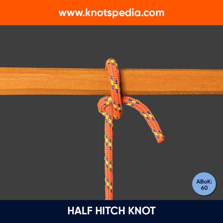 Basic Knots | Learn how to tie basic knots with Knotspedia