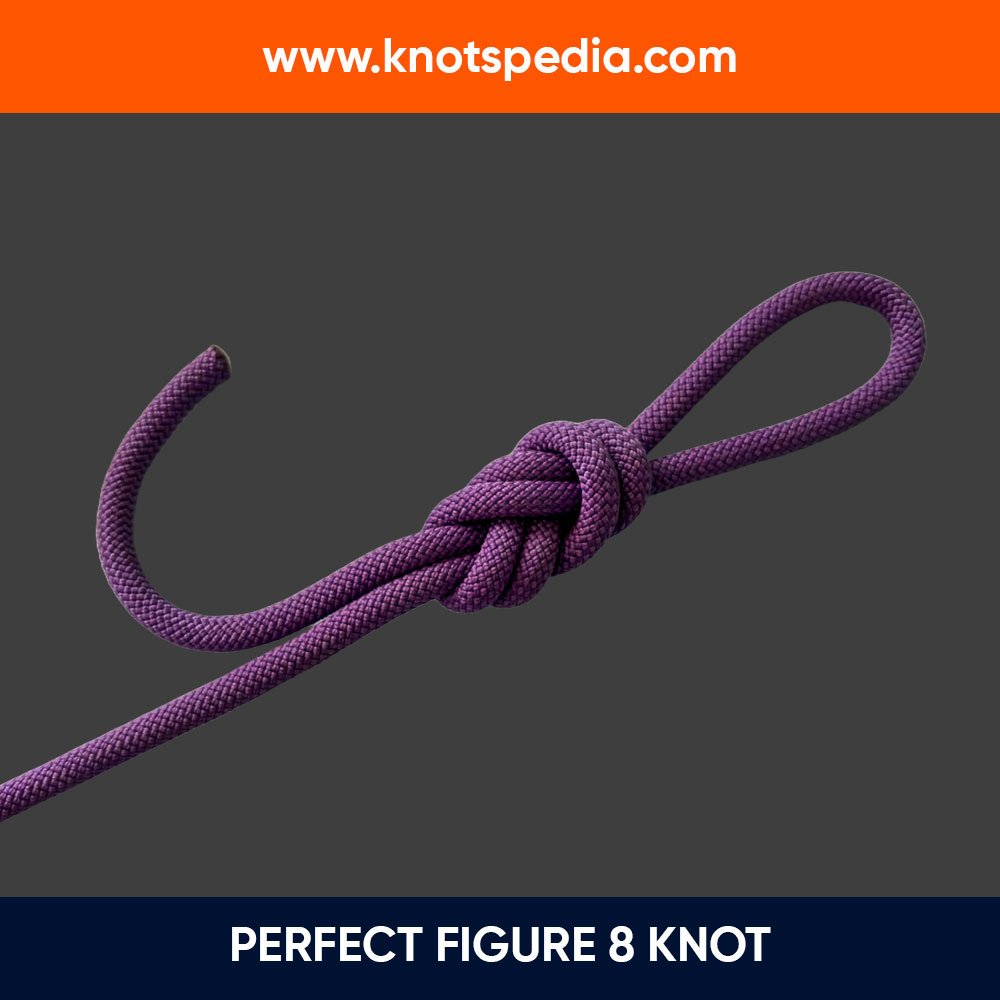 how-to-tie-a-perfect-figure-8-knot