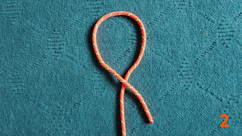 step2-figure8-knot