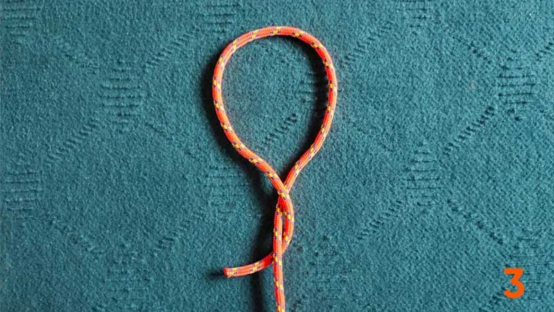 step3-figure-8-knot