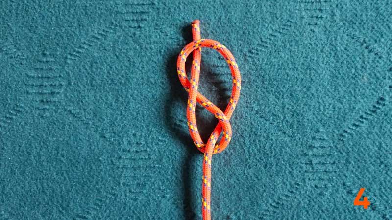 step4-figure-8-knot