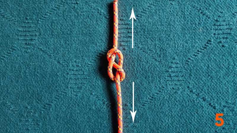 step5-figure-8-knot