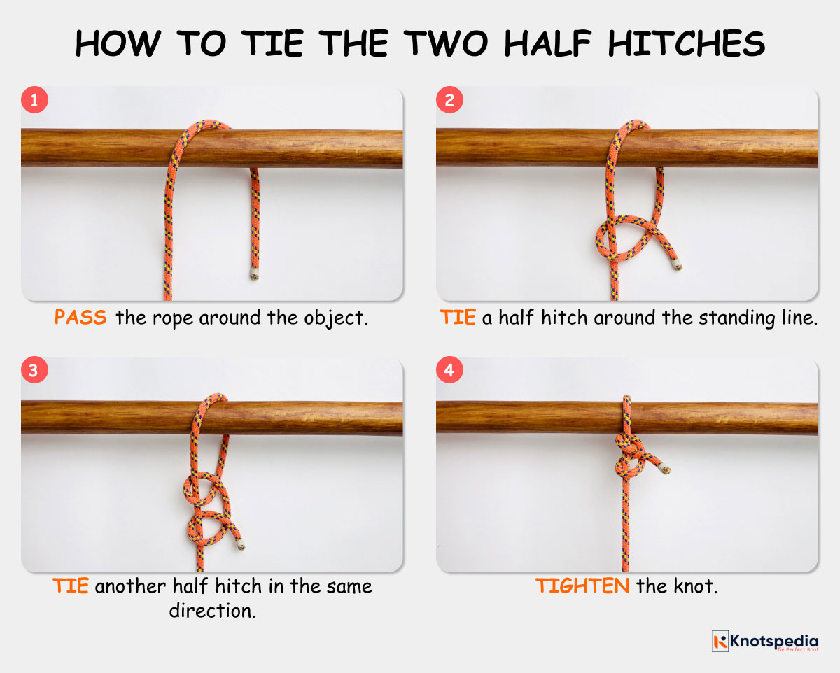 two half hitches diagram how to tie a two half hitches step by step knotspedia