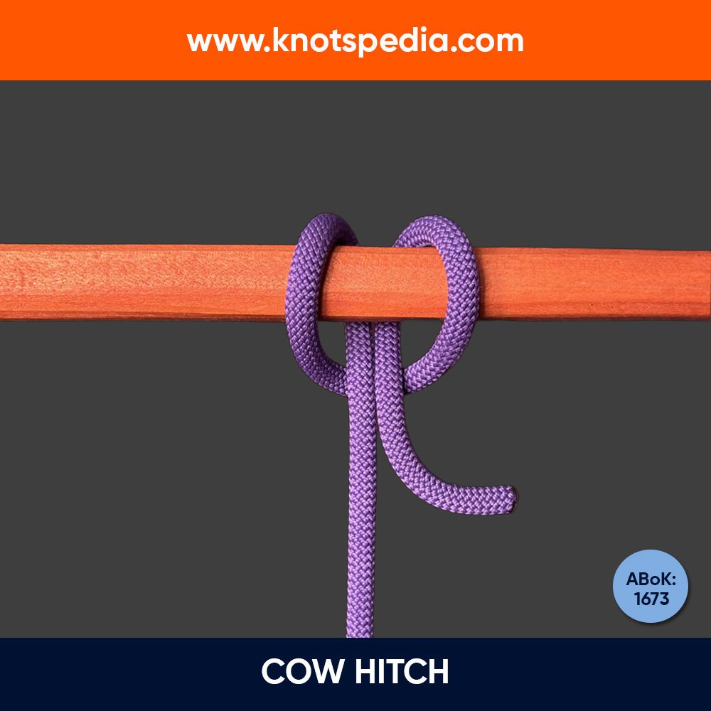 Cow-hitch