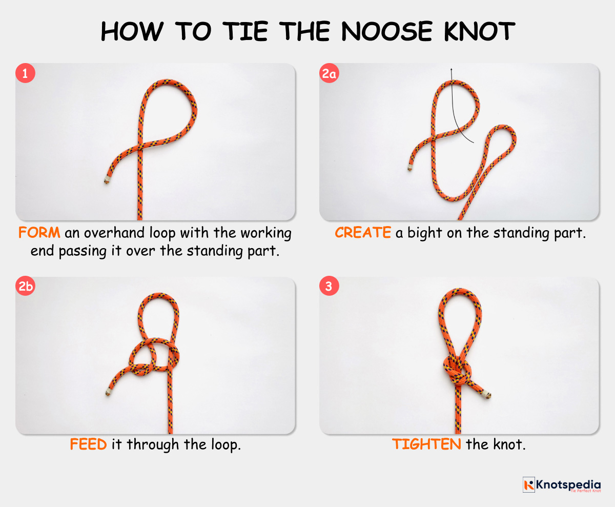 noose-knot-diagram-how-to-tie-a-noose-knot-hangman's-knot-knotspedia