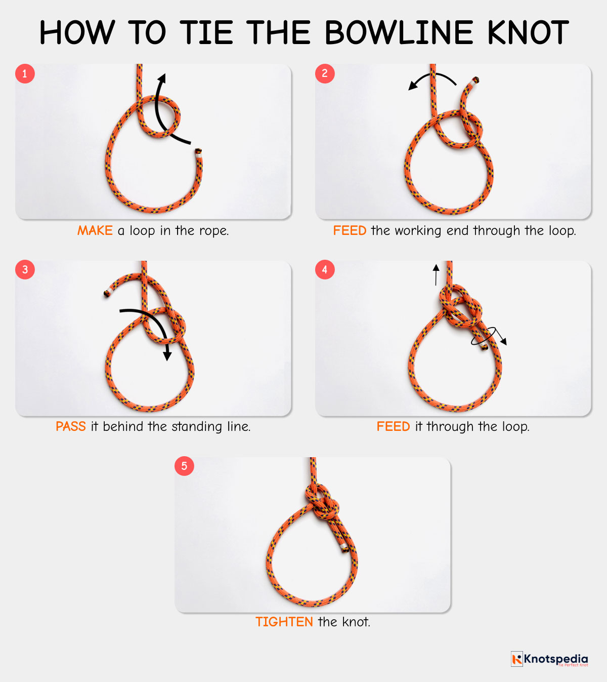 bowline knot diagram how to tie the bowline knot step by step knotspedia