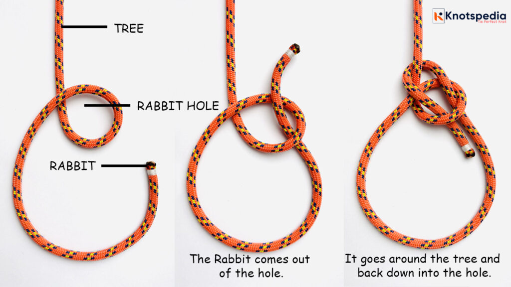 bowline-knot-mnemonic-“The-rabbit-comes-up-out-of-the-hole,-goes-around-the-tree-and-back-down-into-the-hole