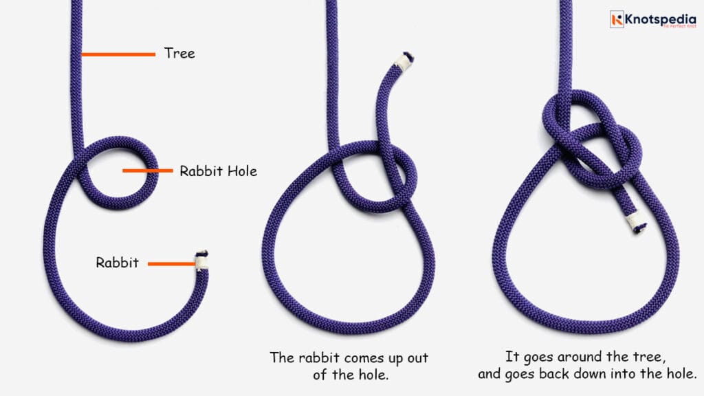 bowline knot mnemonic The rabbit comes up out of the hole goes around the tree and goes back down into the hole