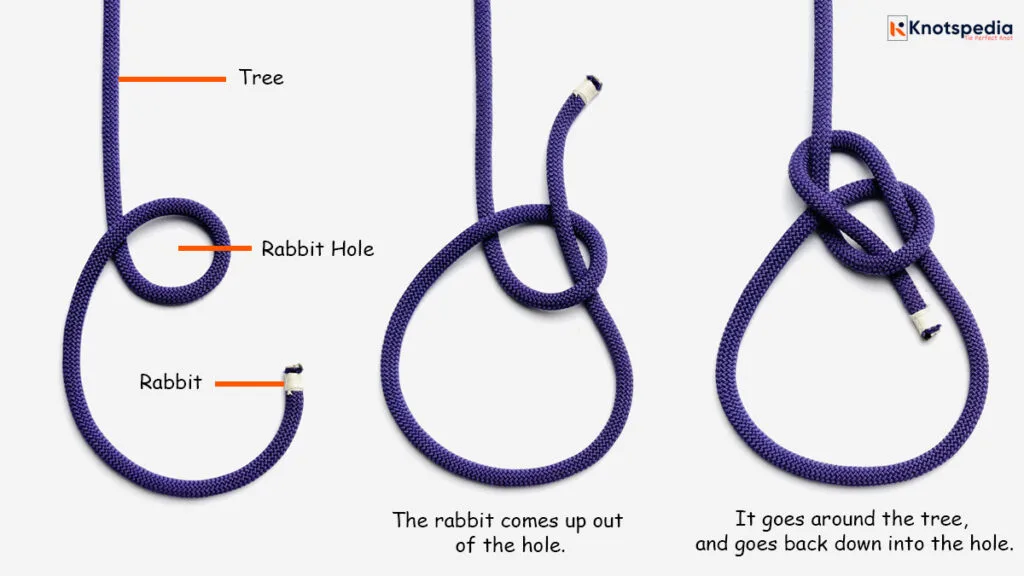 bowline knot mnemonic The rabbit comes up out of the hole goes around the tree and goes back down into the hole