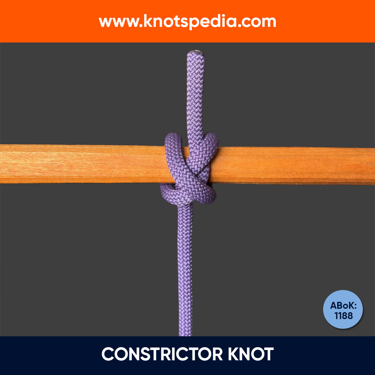 Constrictor-knot-diagram