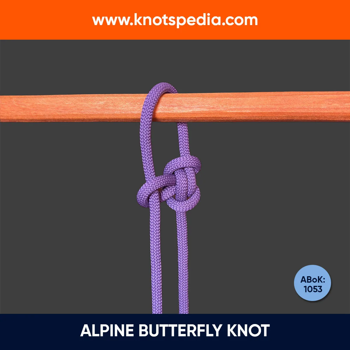 ALPINE-BUTTERFLY-KNOT ALPINE-BUTTERFLY-KNOT