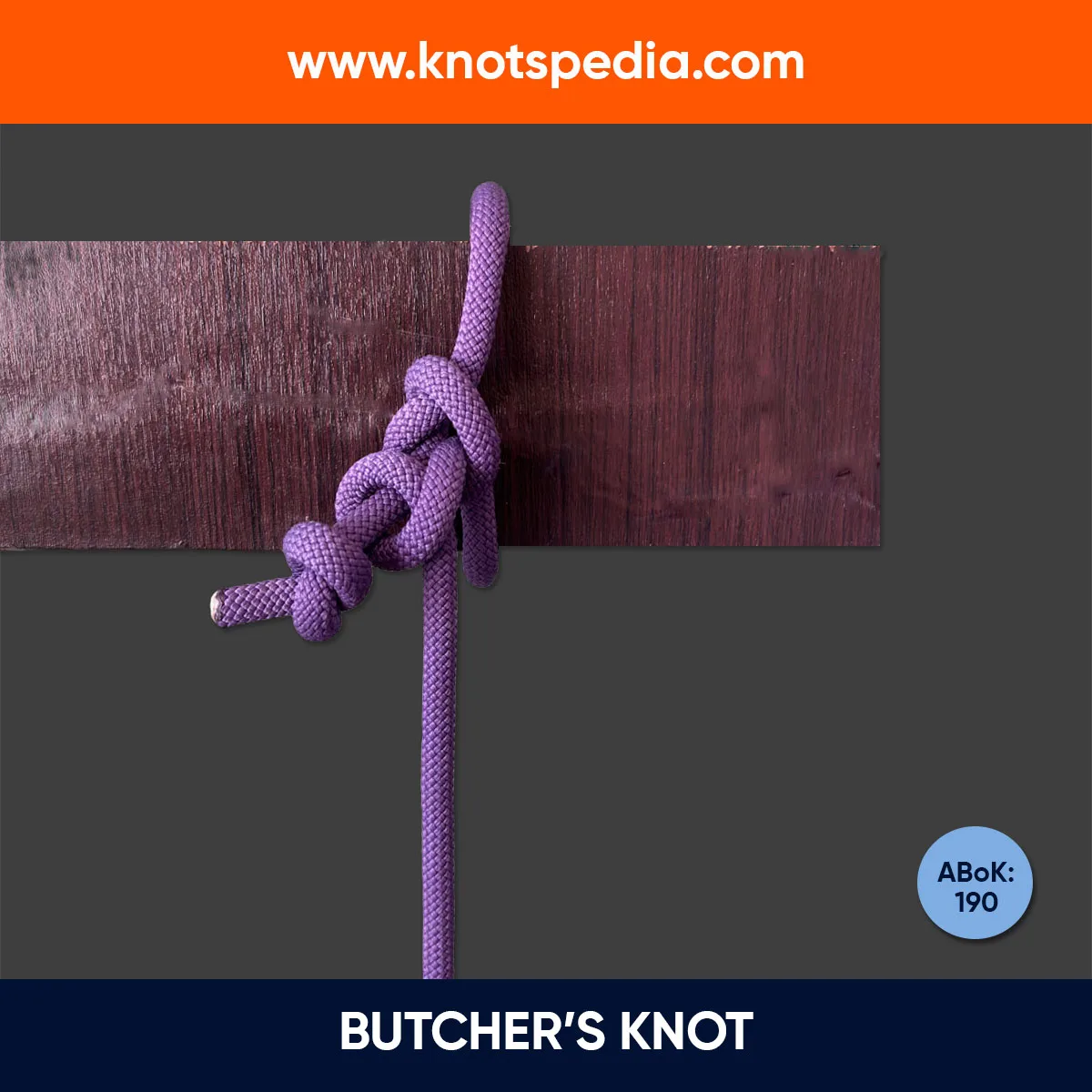 BUTCHERS-KNOT-ABOK-190 BUTCHERS-KNOT-ABOK-190