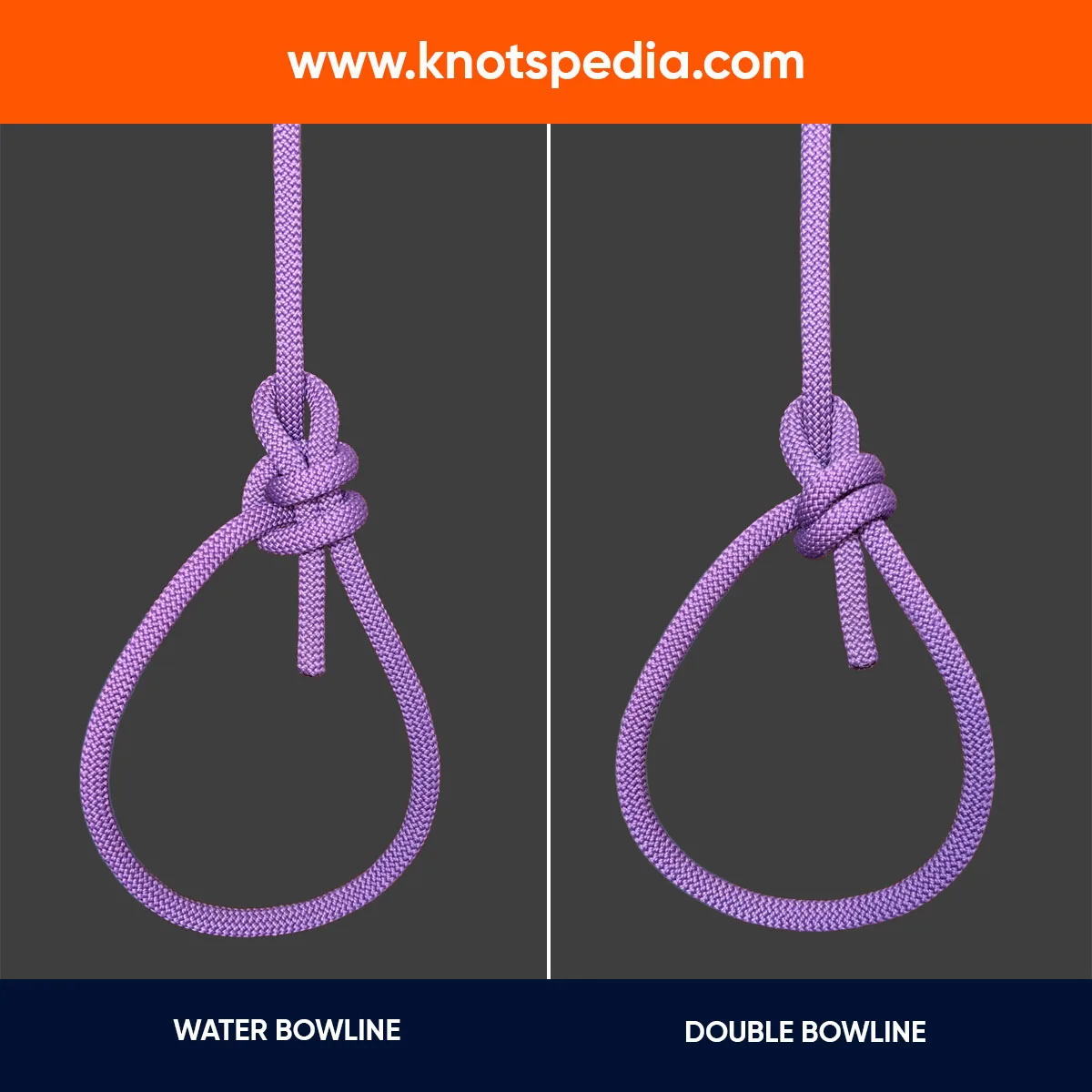 COMPARISON-BETWEEN-WATER-BOWLINE-AND-DOUBLE-BOWLINE
