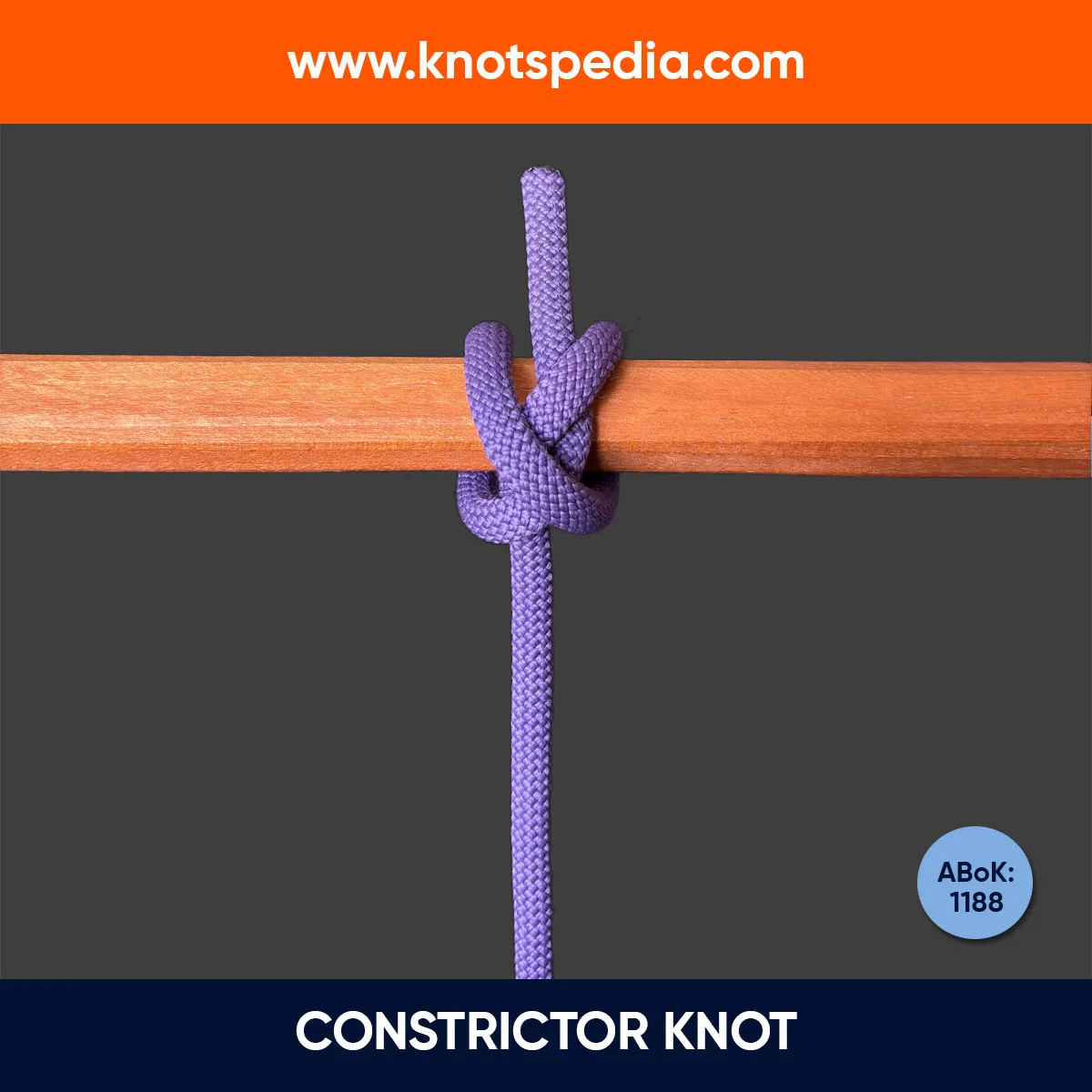 CONSTRICTOR-KNOT CONSTRICTOR-KNOT