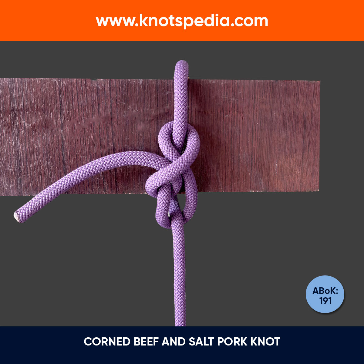 CORNED-BEEF-AND-SALT-PORK-KNOT CORNED-BEEF-AND-SALT-PORK-KNOT