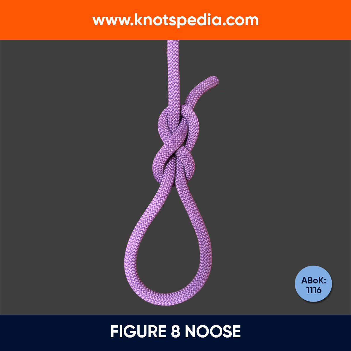 FIGURE-8-NOOSE FIGURE-8-NOOSE