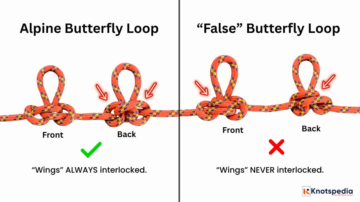 alpine-butterfly-vs-false-butterfly-knot-knotspedia