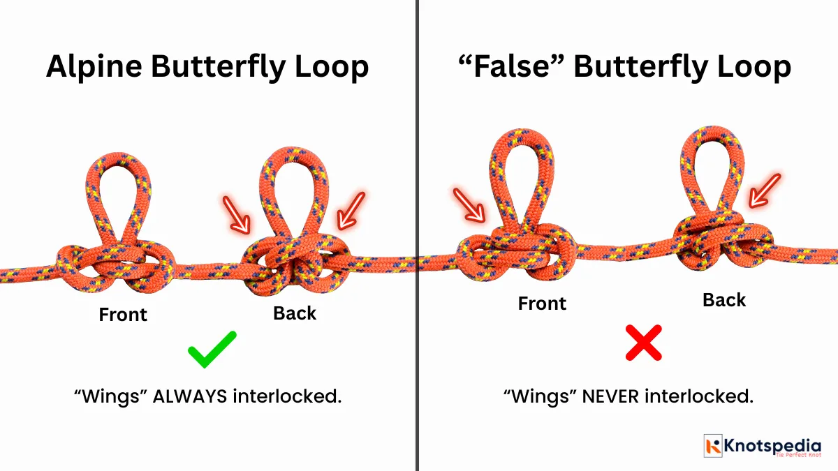 alpine-butterfly-vs-false-butterfly-knot-knotspedia