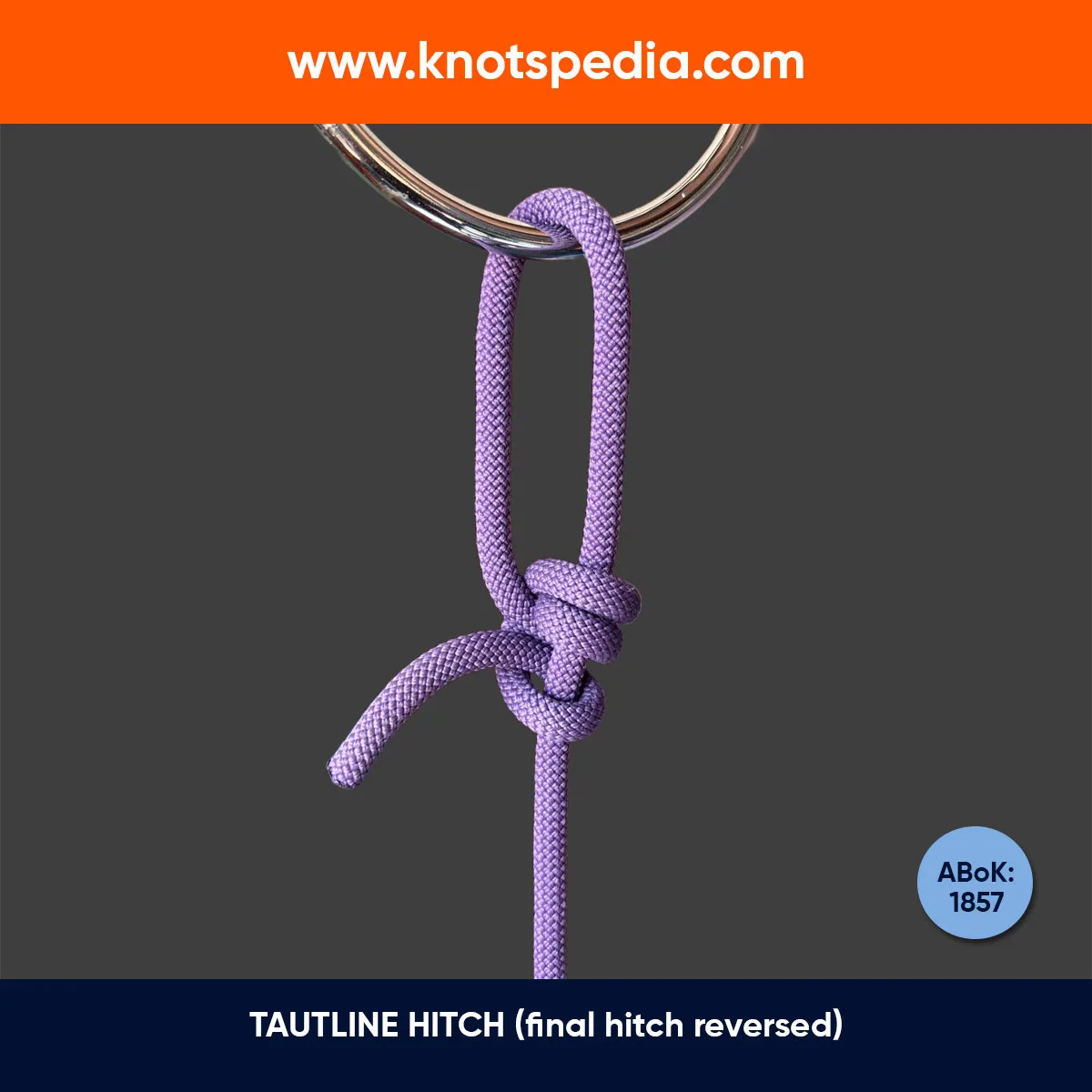 tautline-hitch-with-final-hitch-reversed-diagram
