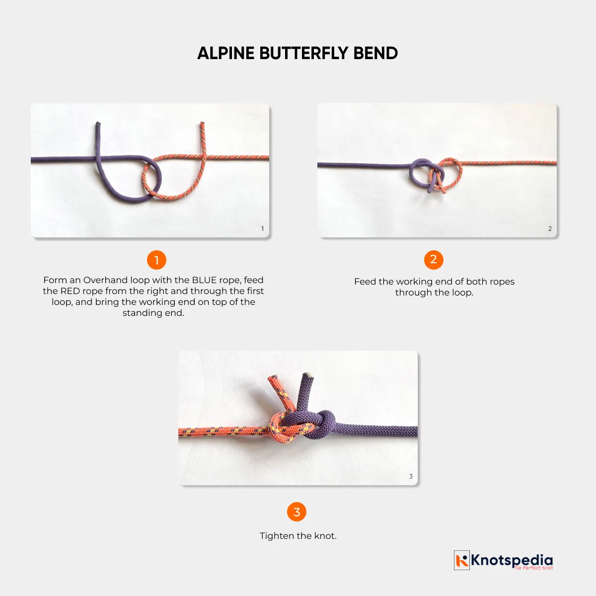ALPINE-BUTTERFLY-BEND-STEP-BY-STEP ALPINE-BUTTERFLY-BEND-STEP-BY-STEP