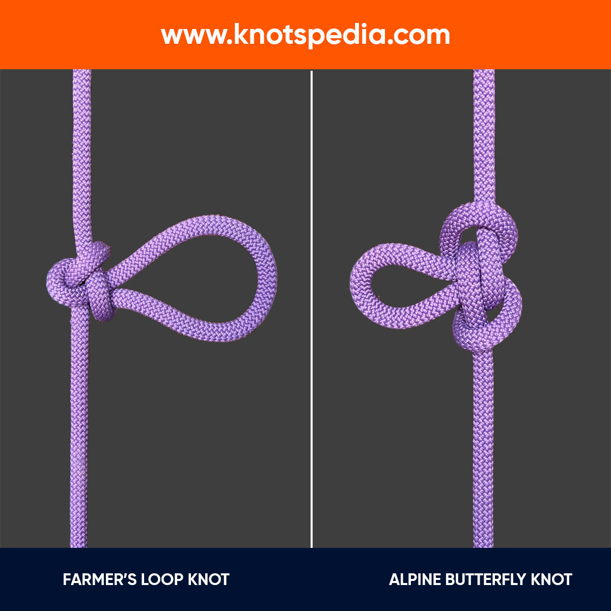 ALPINE-BUTTERFLY-KNOT-VS-FARMER'S-LOOP-KNOT