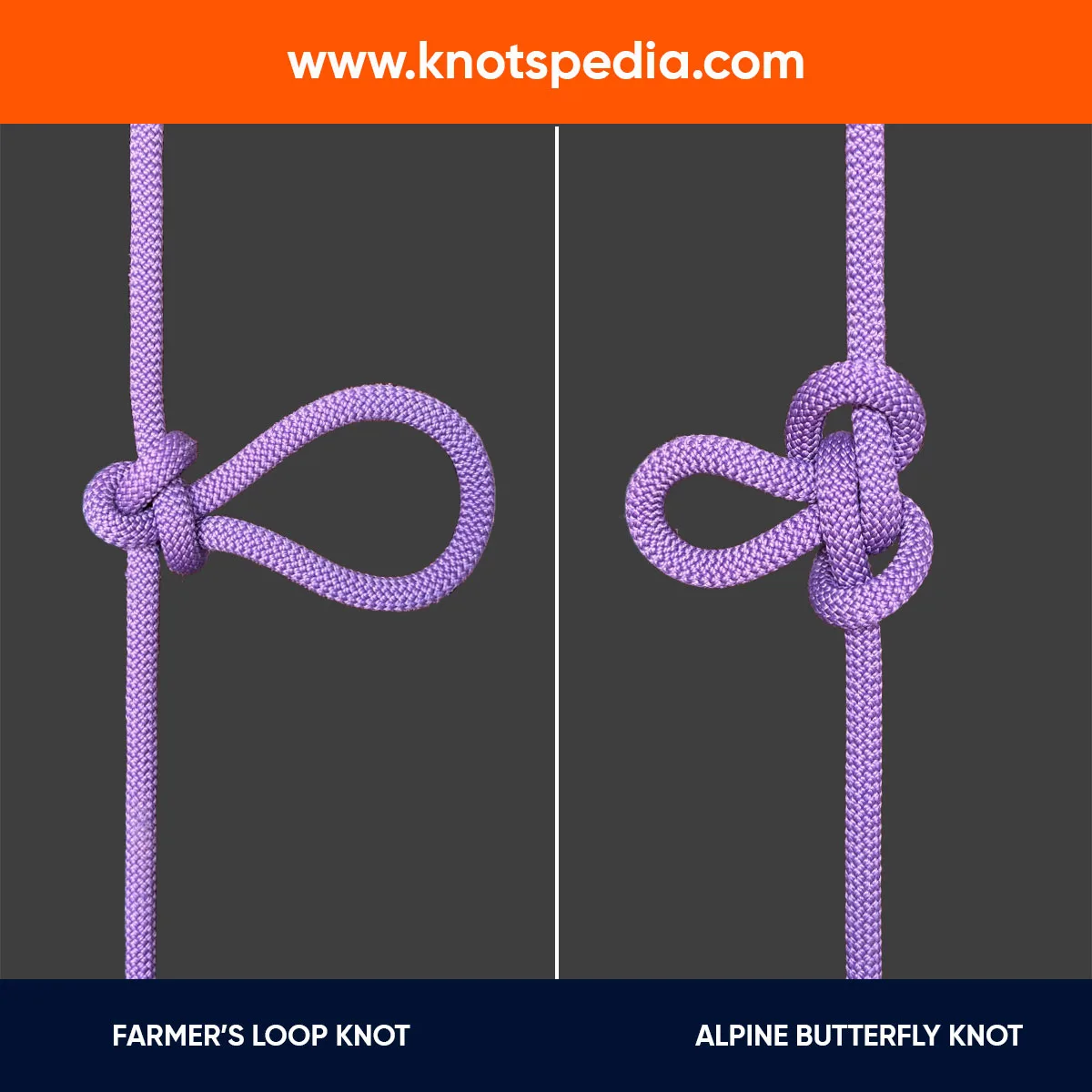 ALPINE-BUTTERFLY-KNOT-VS-FARMER'S-LOOP-KNOT ALPINE-BUTTERFLY-KNOT-VS-FARMER'S-LOOP-KNOT