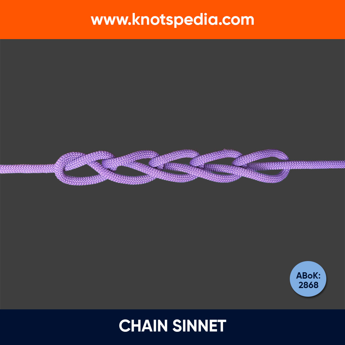 CHAIN-SINNET-KNOT