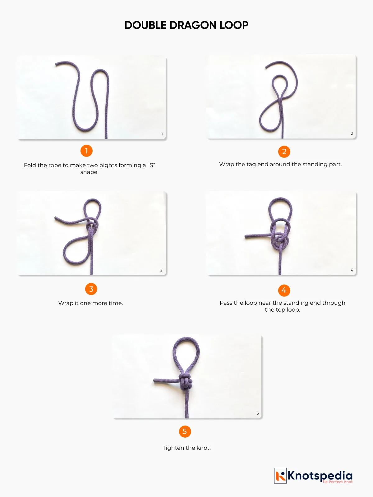 DOUBLE-DRAGON-LOOP-DIAGRAM-STEP-BY-STEP DOUBLE-DRAGON-LOOP-DIAGRAM-STEP-BY-STEP