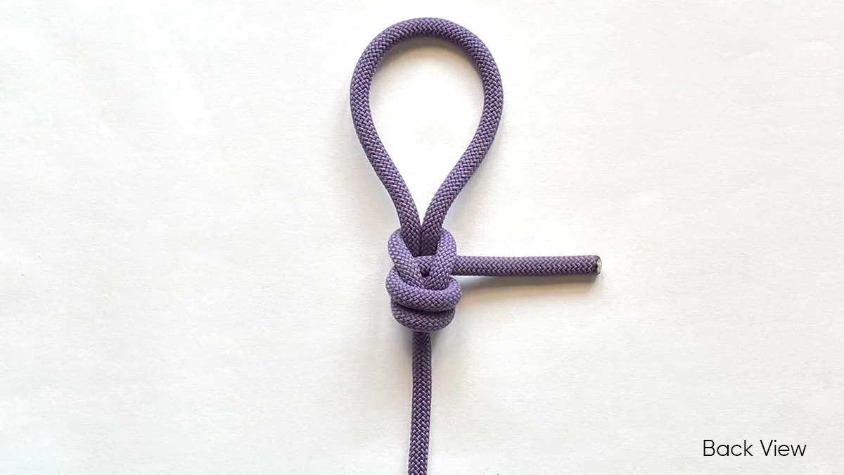 DOUBLE-DRAGON-LOOP-back-view
