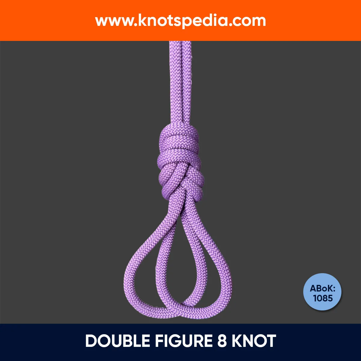 DOUBLE-FIGURE-8-KNOT-DIAGRAM DOUBLE-FIGURE-8-KNOT-DIAGRAM