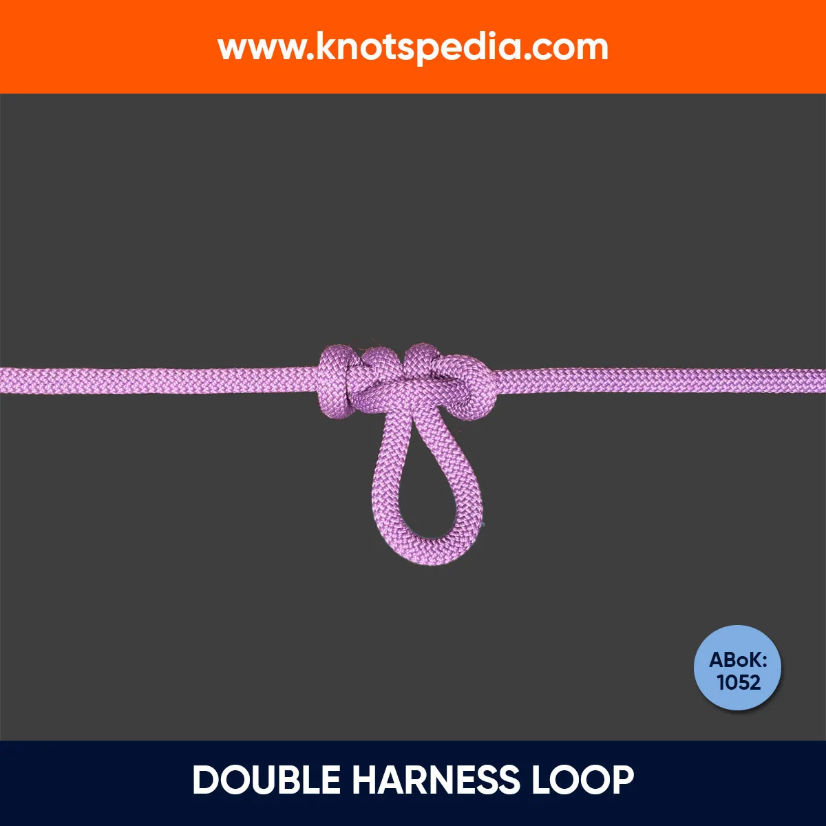 DOUBLE-HARNESS-LOOP DOUBLE-HARNESS-LOOP