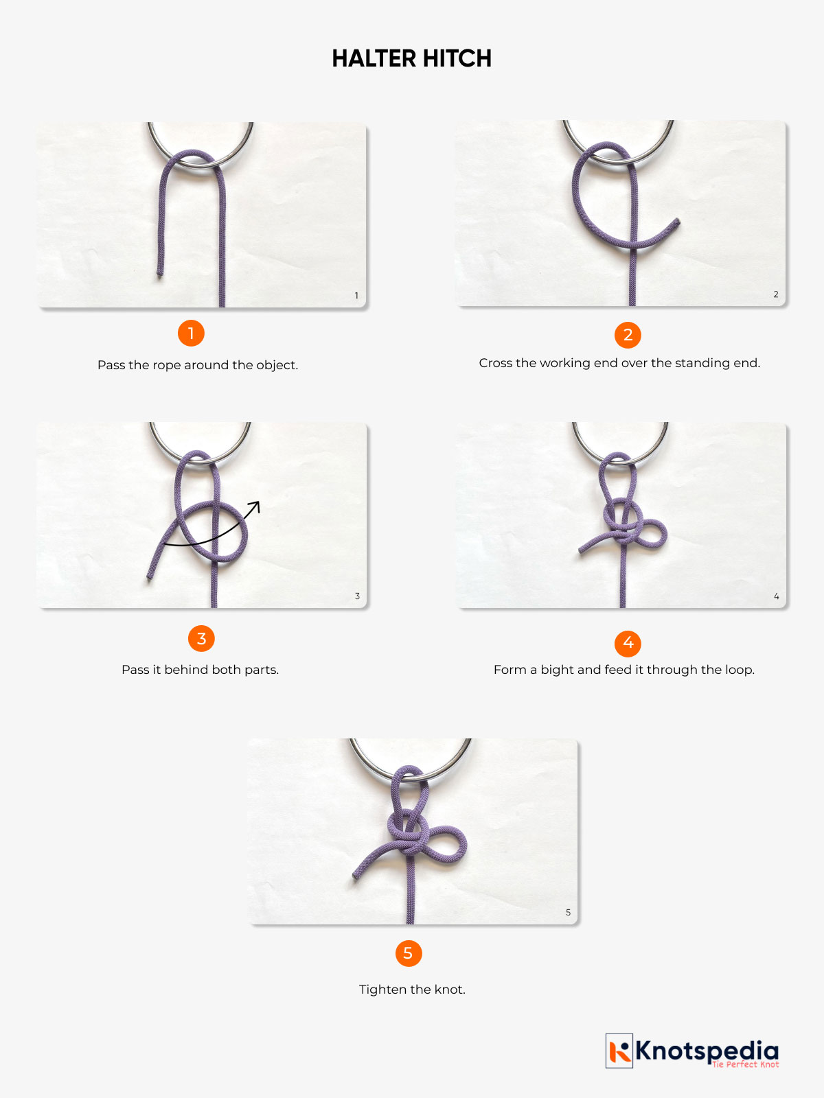 HALTER-HITCH-KNOT-DIAGRAM-STEP-OR-STEP