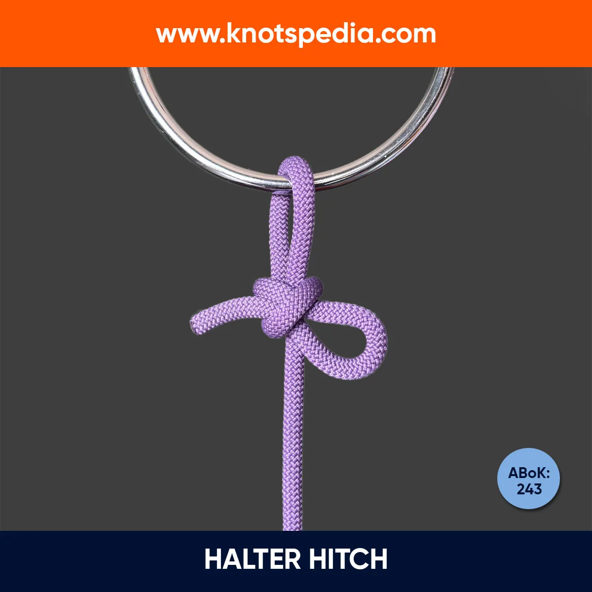 HALTER-HITCH-KNOT-DIAGRAM