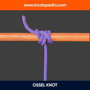 OSSEL KNOT DIAGRAM GEOFFREY BUDWORTH