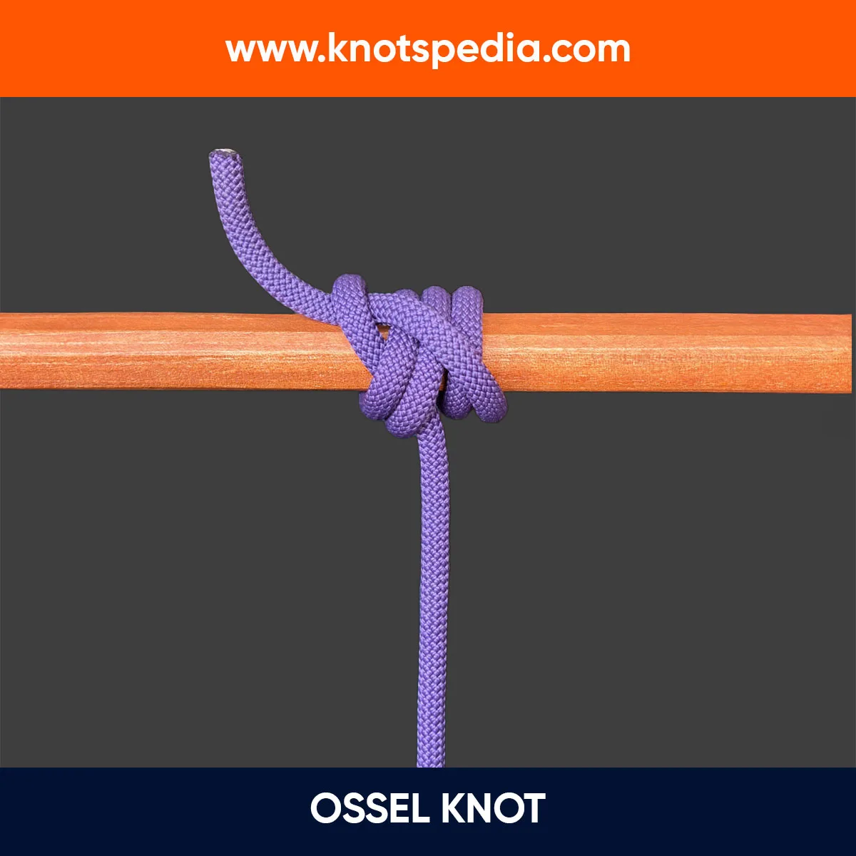 OSSEL KNOT DIAGRAM GEOFFREY BUDWORTH