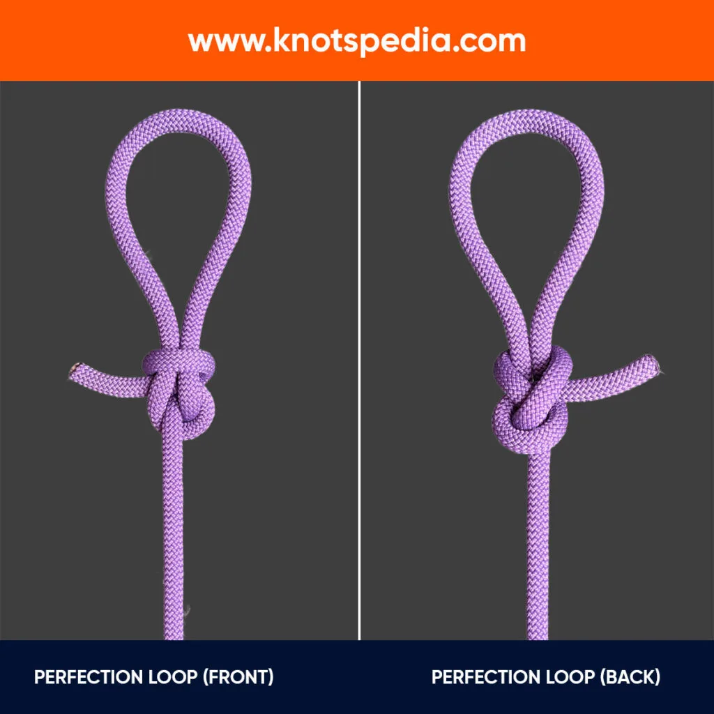 PERFECTION-LOOP-FRONT-AND-BACK PERFECTION-LOOP-FRONT-AND-BACK