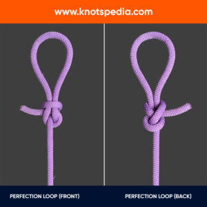 PERFECTION-LOOP-FRONT-AND-BACK