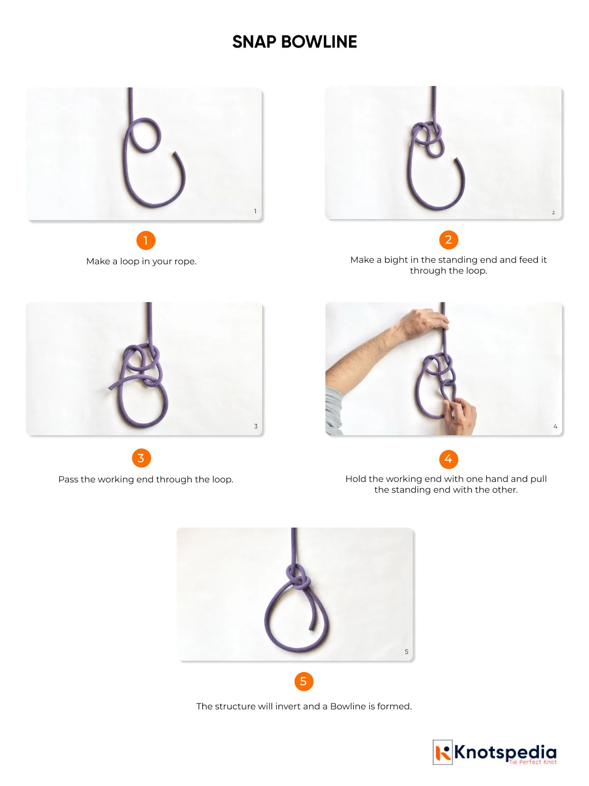 SNAP-BOWLINE-DIAGRAM SNAP-BOWLINE-DIAGRAM
