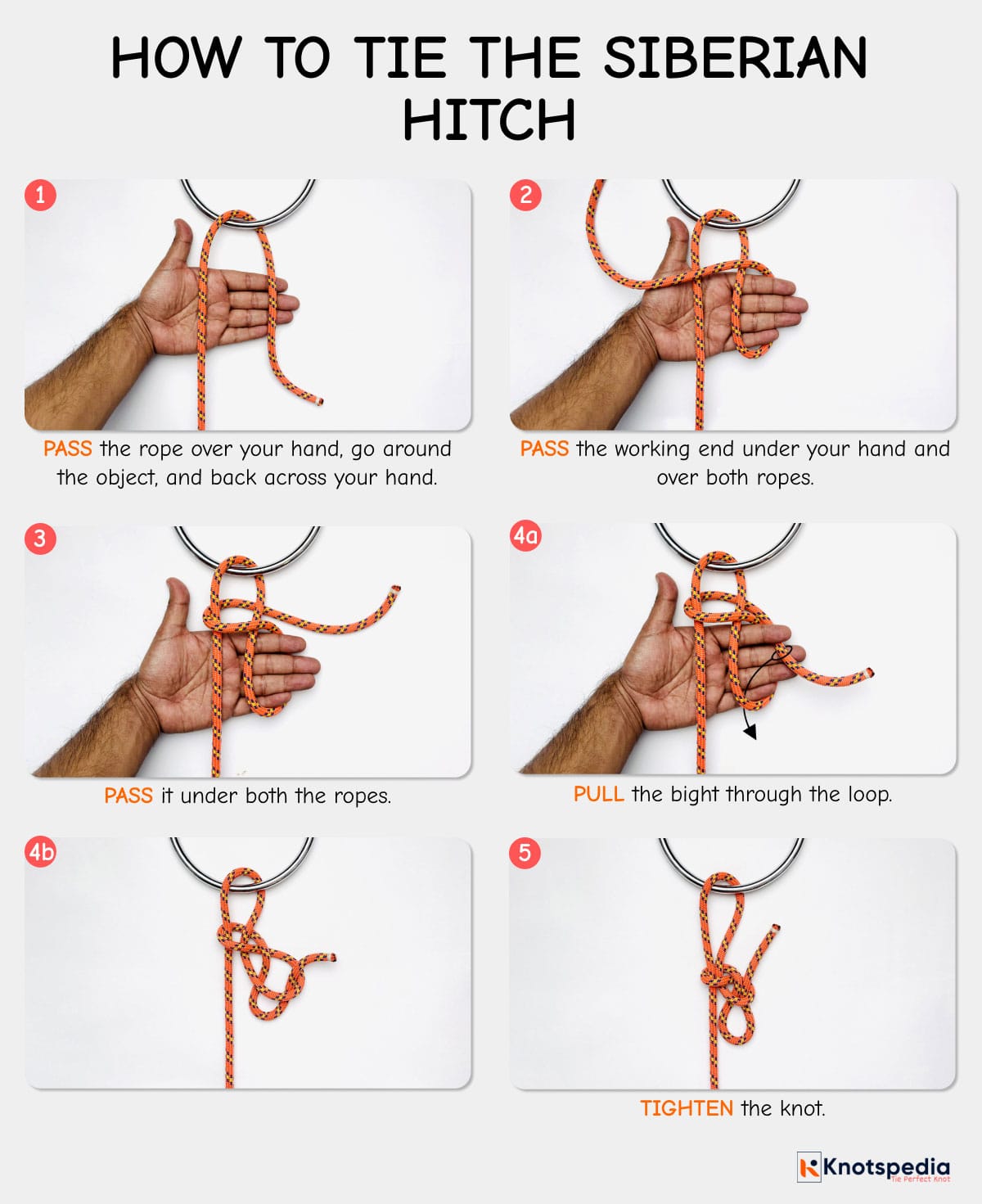 siberian-hitch-step-by-step-how-to-tie-the-siberian-hitch-diagram-knotspedia