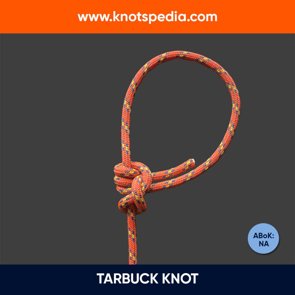 TARBUCK-KNOT-IMAGE