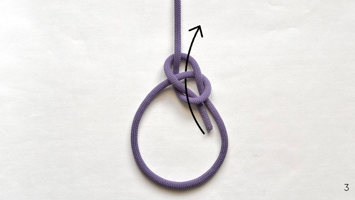 scott's-locked-bowline-step3