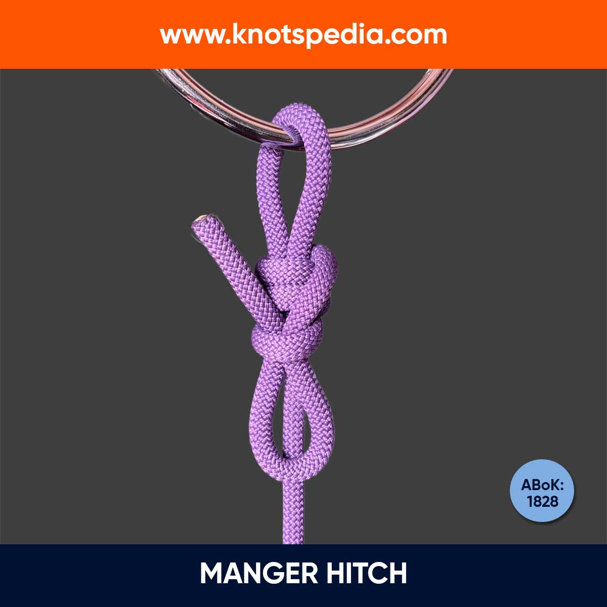 MANGER-HITCH-DIAGRAM