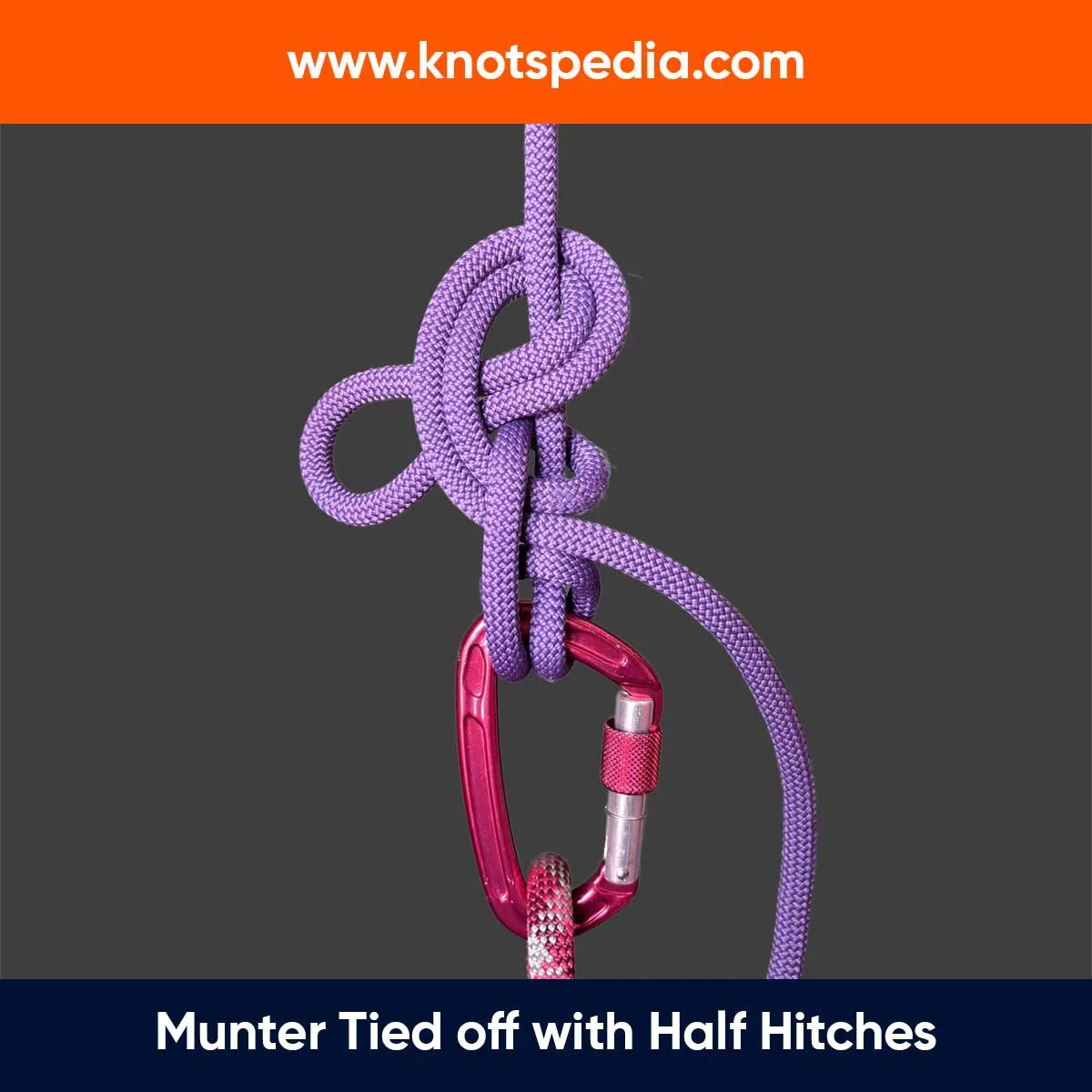 Munter-Tied-off-with-Half-Hitches Munter-Tied-off-with-Half-Hitches