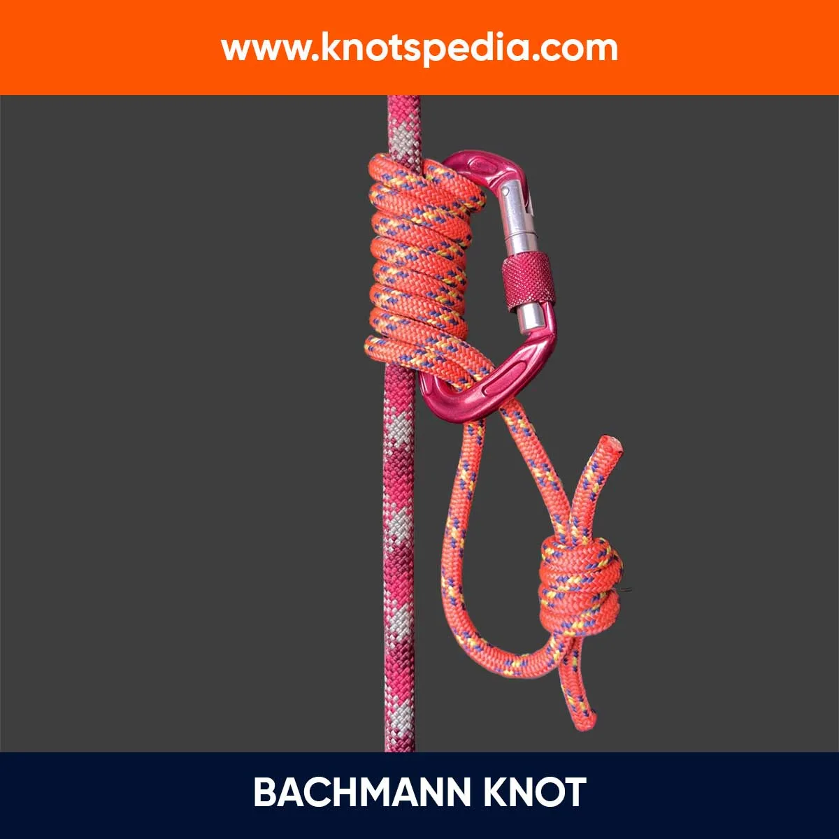 bachmann-knot