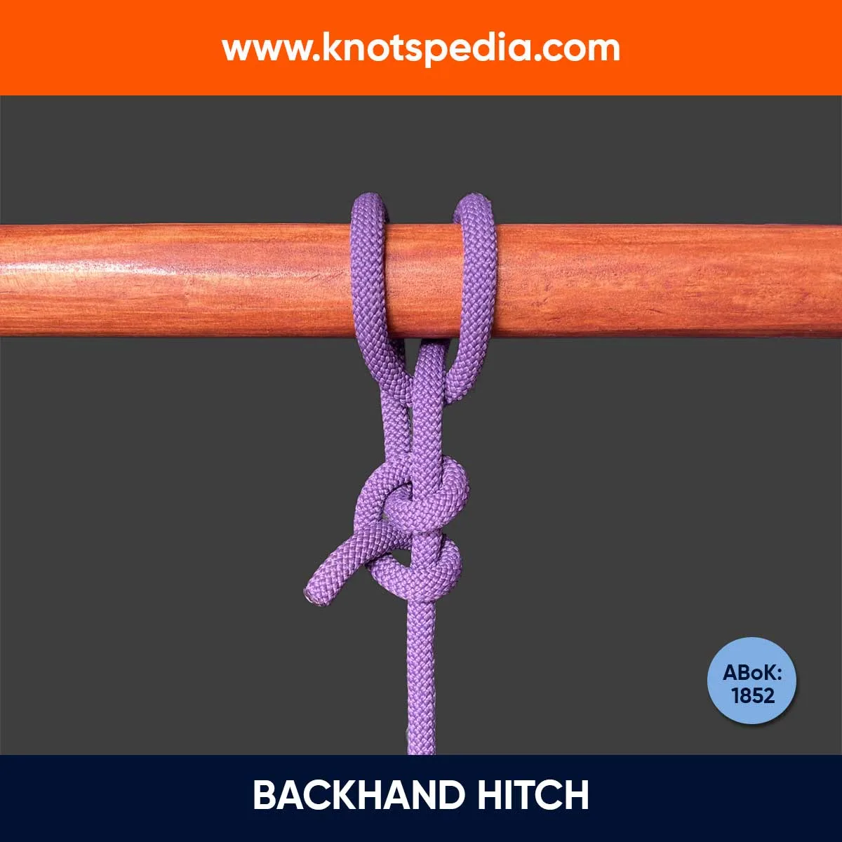 backhand-hitch-abok1852